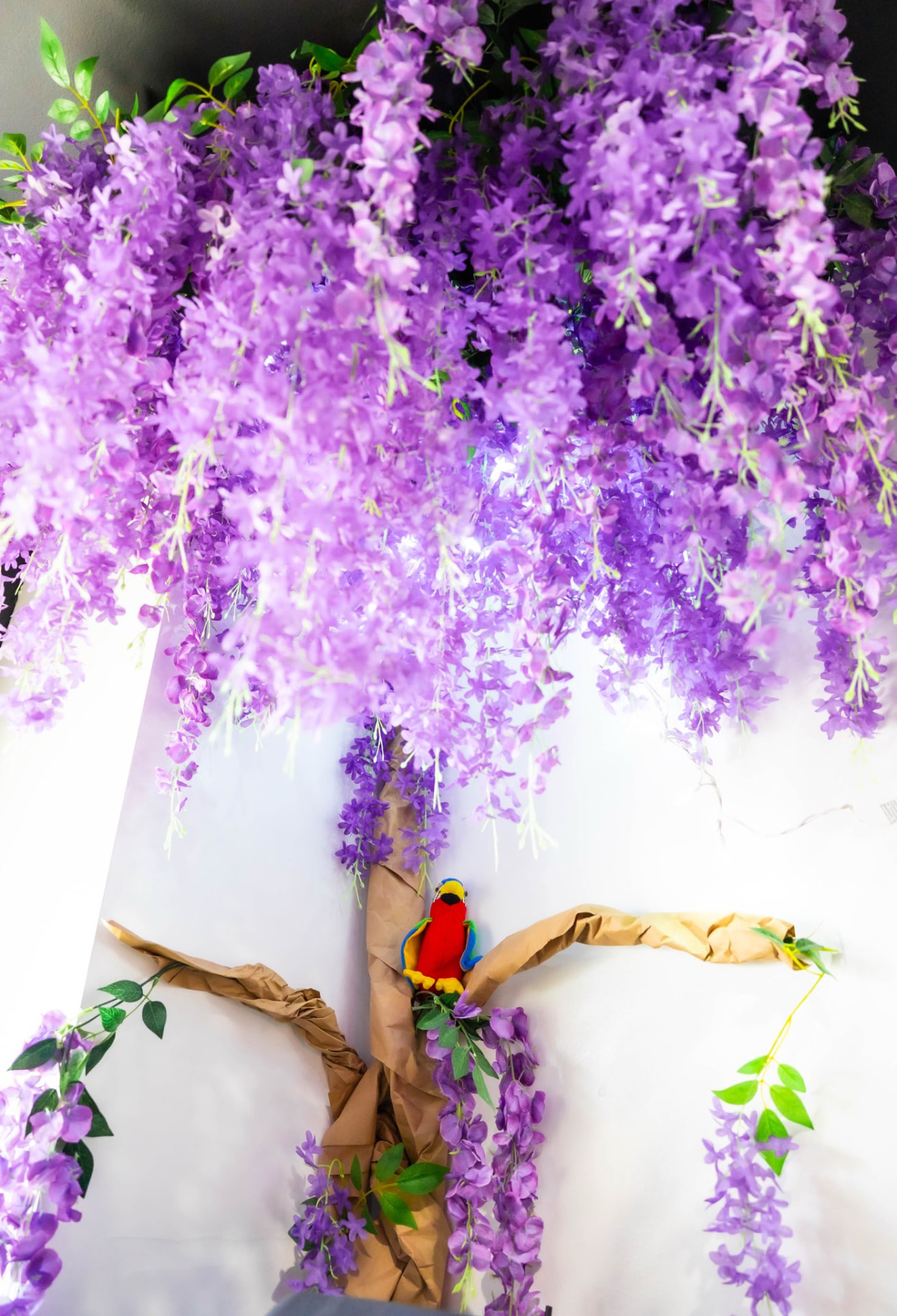 Purple wisteria tree inside the Ritual studio